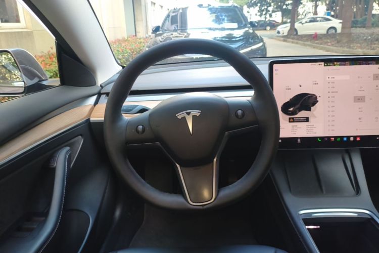 Tesla Model 3 2022 #11 Tesla Model 3 2022 imagen de coche #11