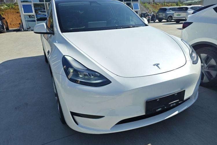 Tesla Model Y 2022 car image #4