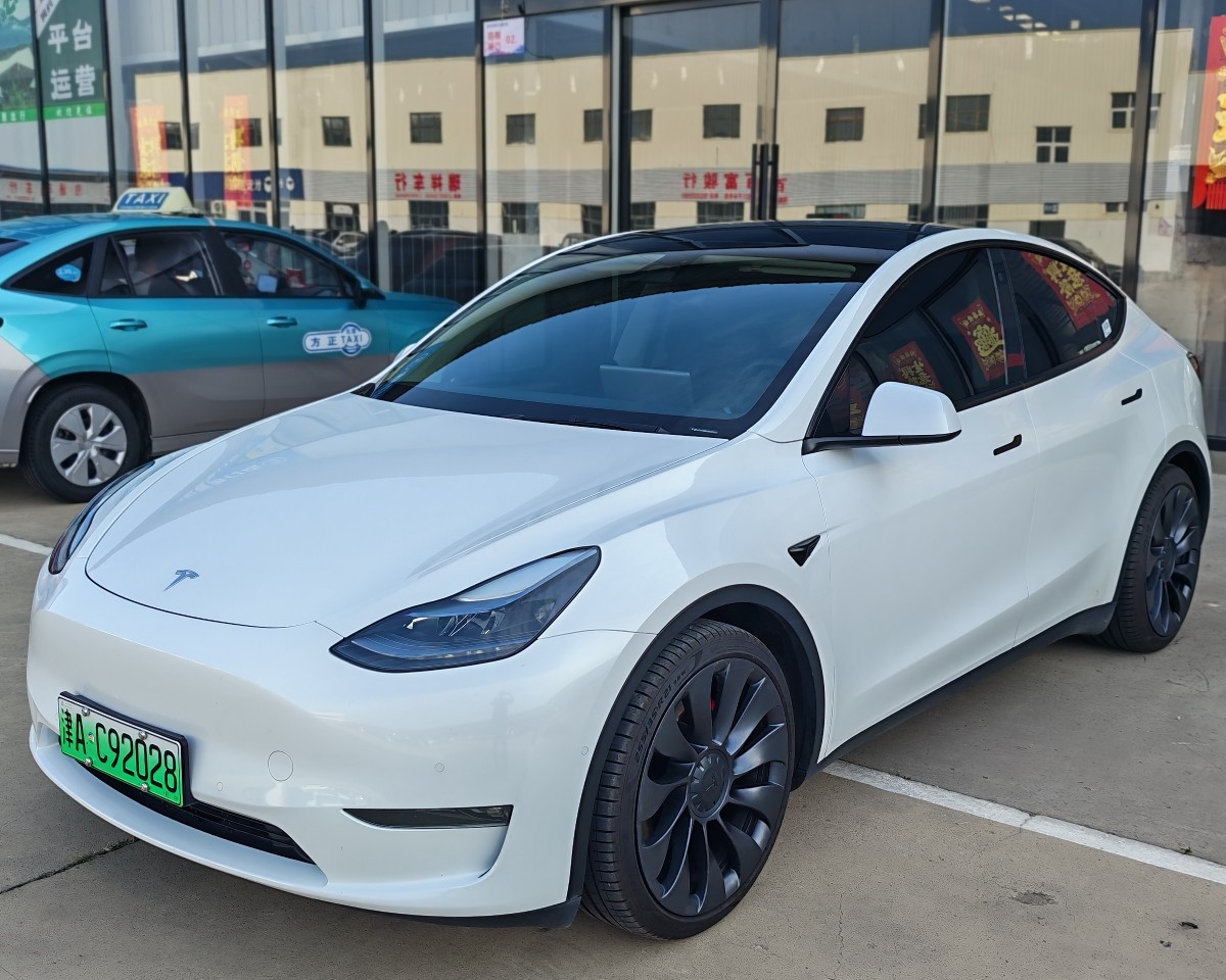 Tesla Model Y 2022 car image 