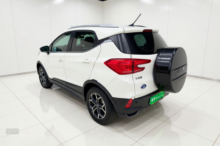BYD Yuan Pro 2022 immagine di auto #5