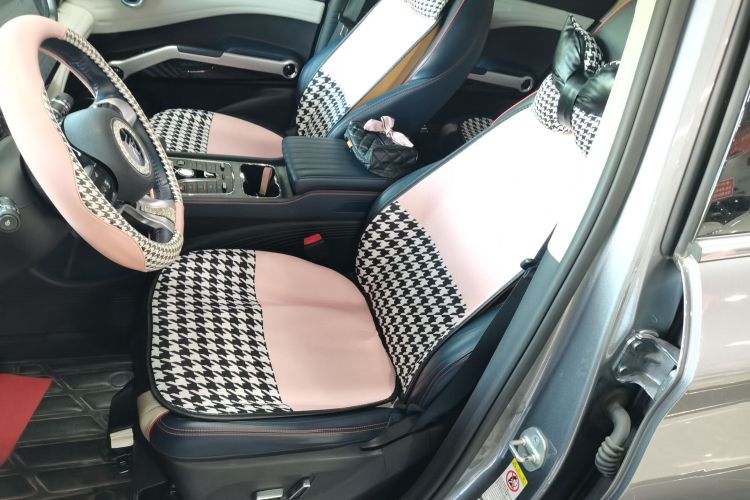 BYD Yuan Plus 2022 car image #15