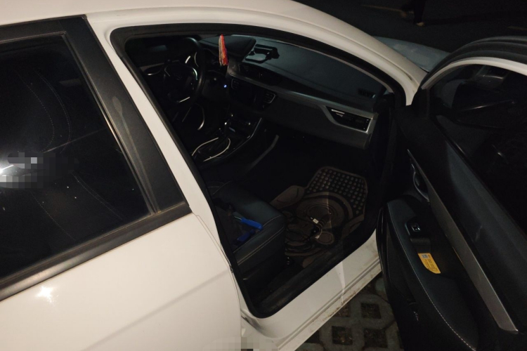 GEELY Emgrand 2020 car image #23