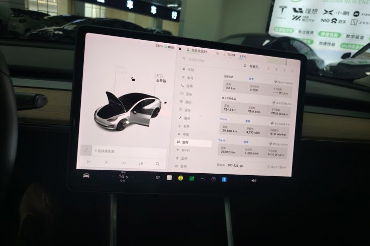 Tesla Model 3 2020 car image #13
