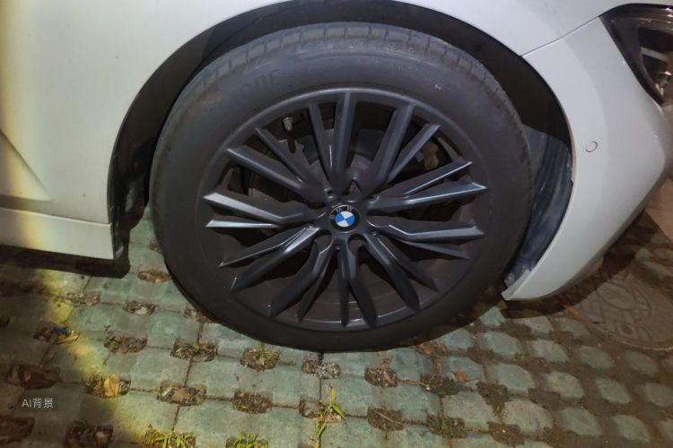 BMW 3 Series 2021 car image #9