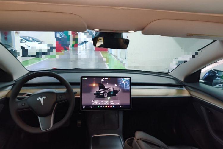 Tesla Model 3 2023 #10 Tesla Model 3 2023 صورة سيارة #10