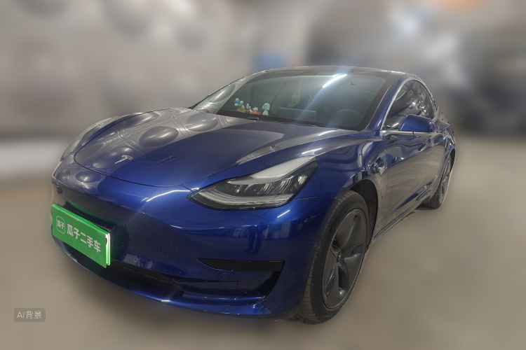 Tesla Model 3 2020 #2 Tesla Model 3 2020 car image #2