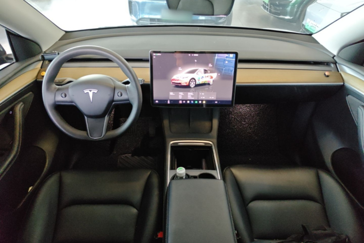 Tesla Model Y 2022 car image #10