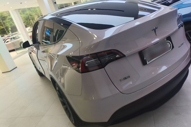 Tesla Model Y 2023 #5 Tesla Model Y 2023 car image #5