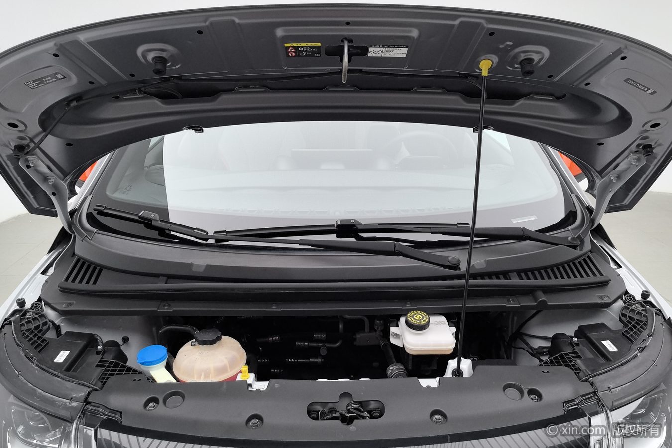 BYD Dolphin 2022 #18 BYD Dolphin 2022 car image #18
