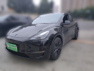 Tesla Model Y 2023 Tesla Model Y 2023 car image