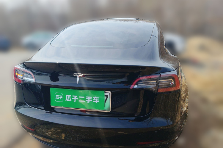 Tesla Model 3 2021 #6 Tesla Model 3 2021 car image #6