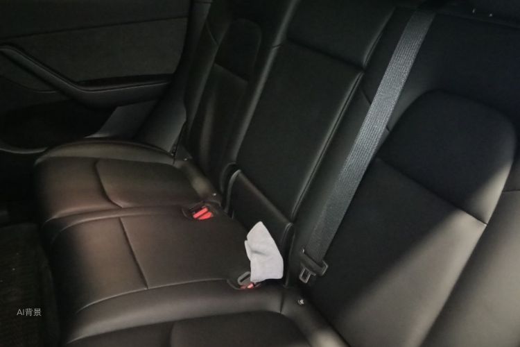 Tesla Model Y 2024 car image #19