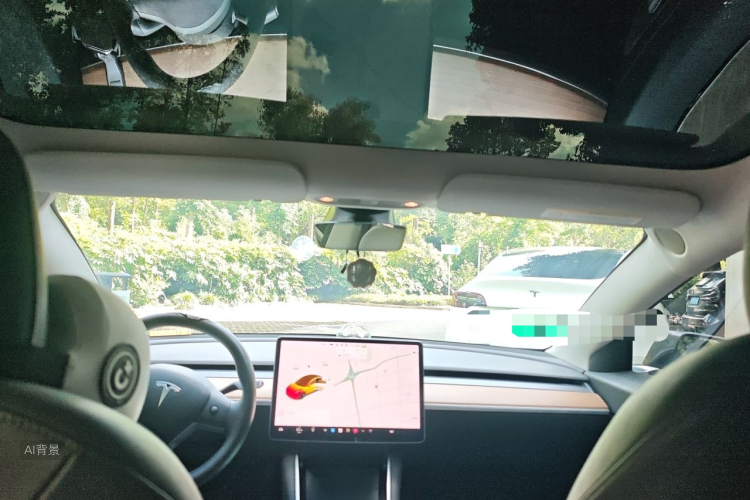 Tesla Model 3 2020 car image #20