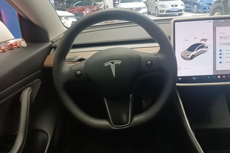 Tesla Model 3 2020 #15 Tesla Model 3 2020 car image #15