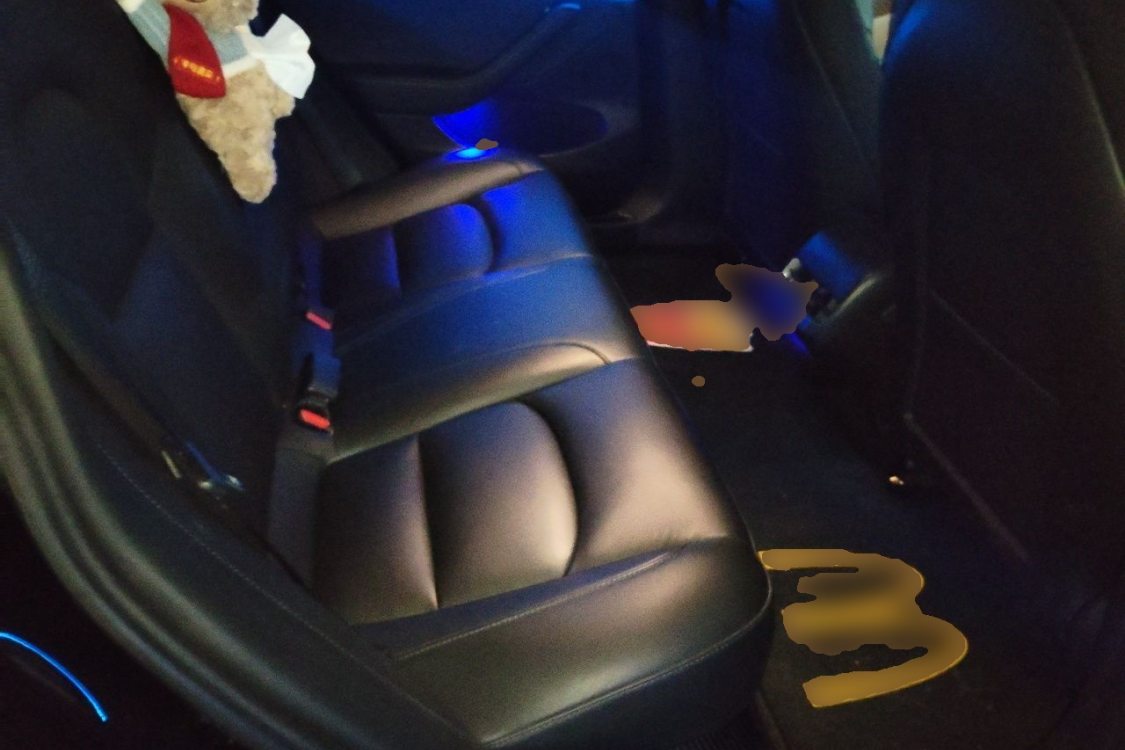 Tesla Model 3 2021 immagine di auto #19
