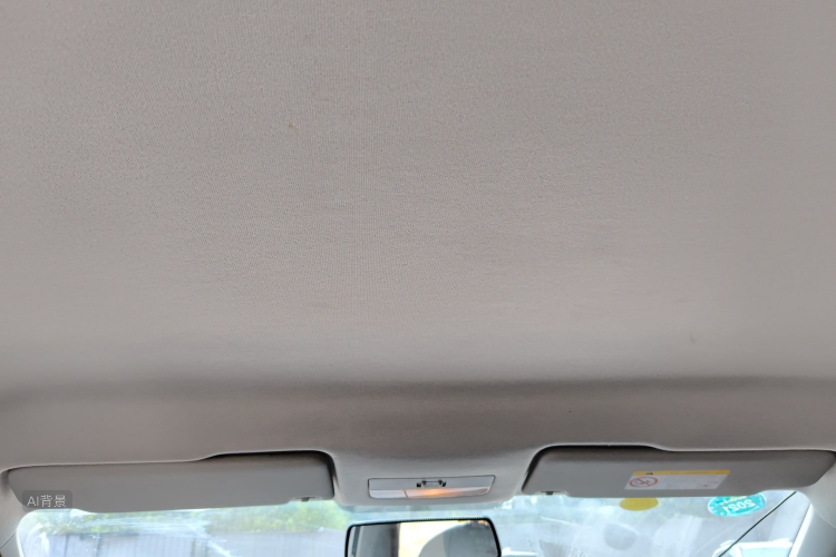 Volkswagen Santana 2020 car image #20
