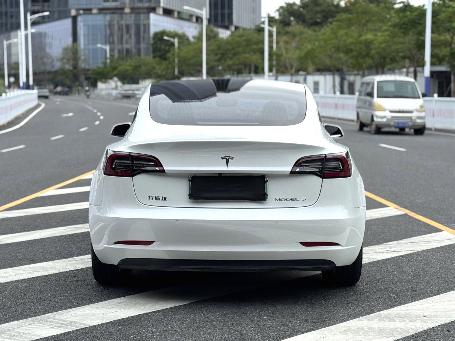 Tesla Model 3 2020 immagine di auto #7