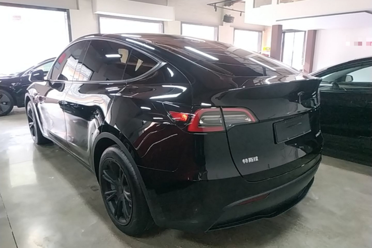 Tesla Model Y 2023 #7 Tesla Model Y 2023 car image #7