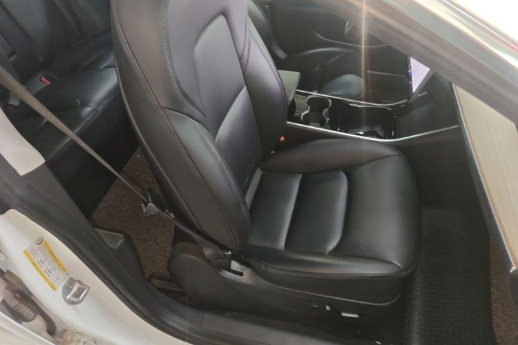 Tesla Model 3 2019 #24 Tesla Model 3 2019 car image #24