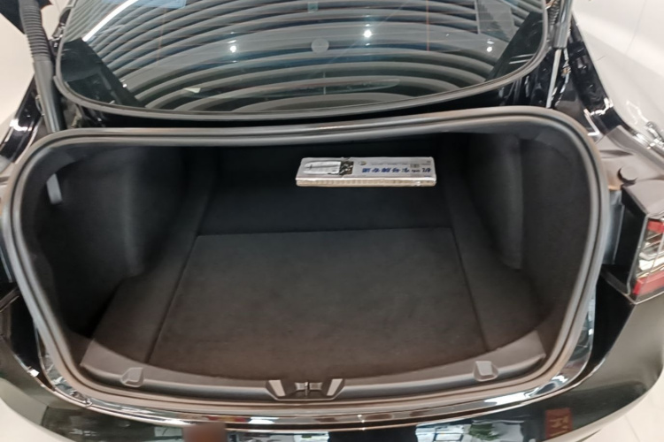 Tesla Model 3 2023 car image #21