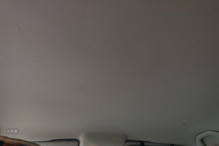 Volkswagen Polo 2015 car image #20