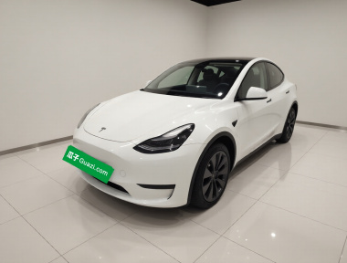 Tesla Model Y 2023 Tesla Model Y 2023 car image