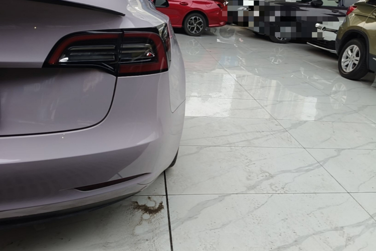 Tesla Model 3 2021 imagem de carro #8