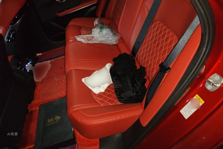 BYD Han 2020 car image #19