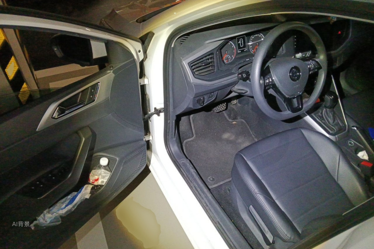 Volkswagen Polo 2020 car image #18