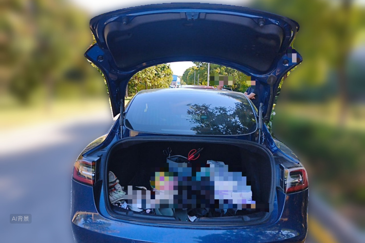 Tesla Model 3 2020 #21 Tesla Model 3 2020 car image #21