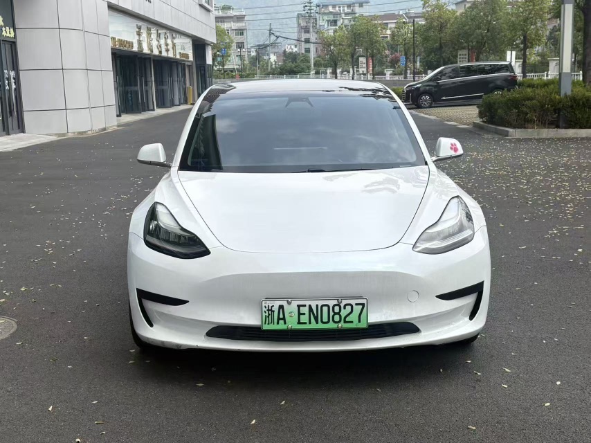 Tesla Model 3 2020 Tesla Model 3 2020 car image