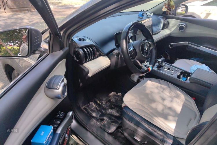 BYD Yuan Plus 2022 car image #18
