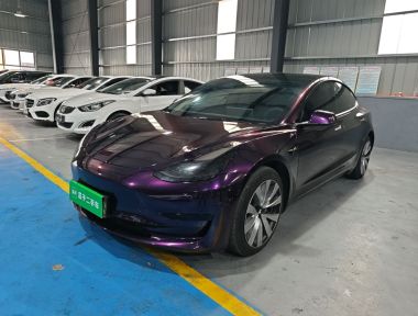 Tesla Model 3 2021 Tesla Model 3 2021 car image
