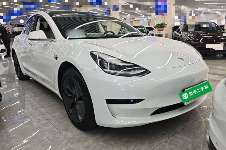 Tesla Model 3 2020 car image #4
