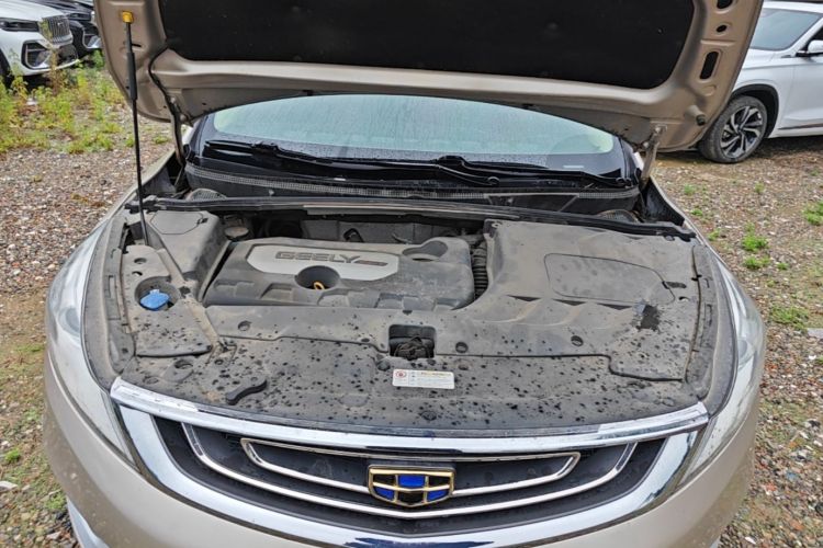 GEELY Emgrand GS 2017 car image #22