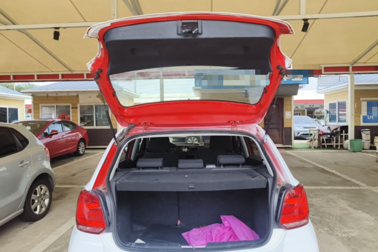 Volkswagen Polo 2015 car image #22