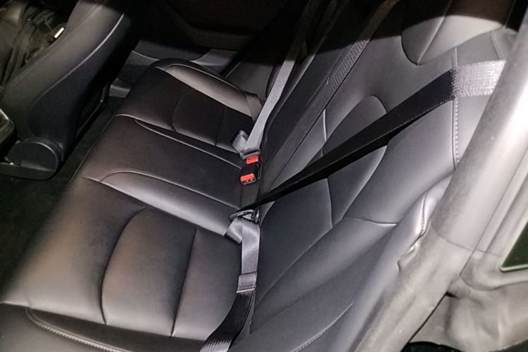 Tesla Model 3 2021 car image #19