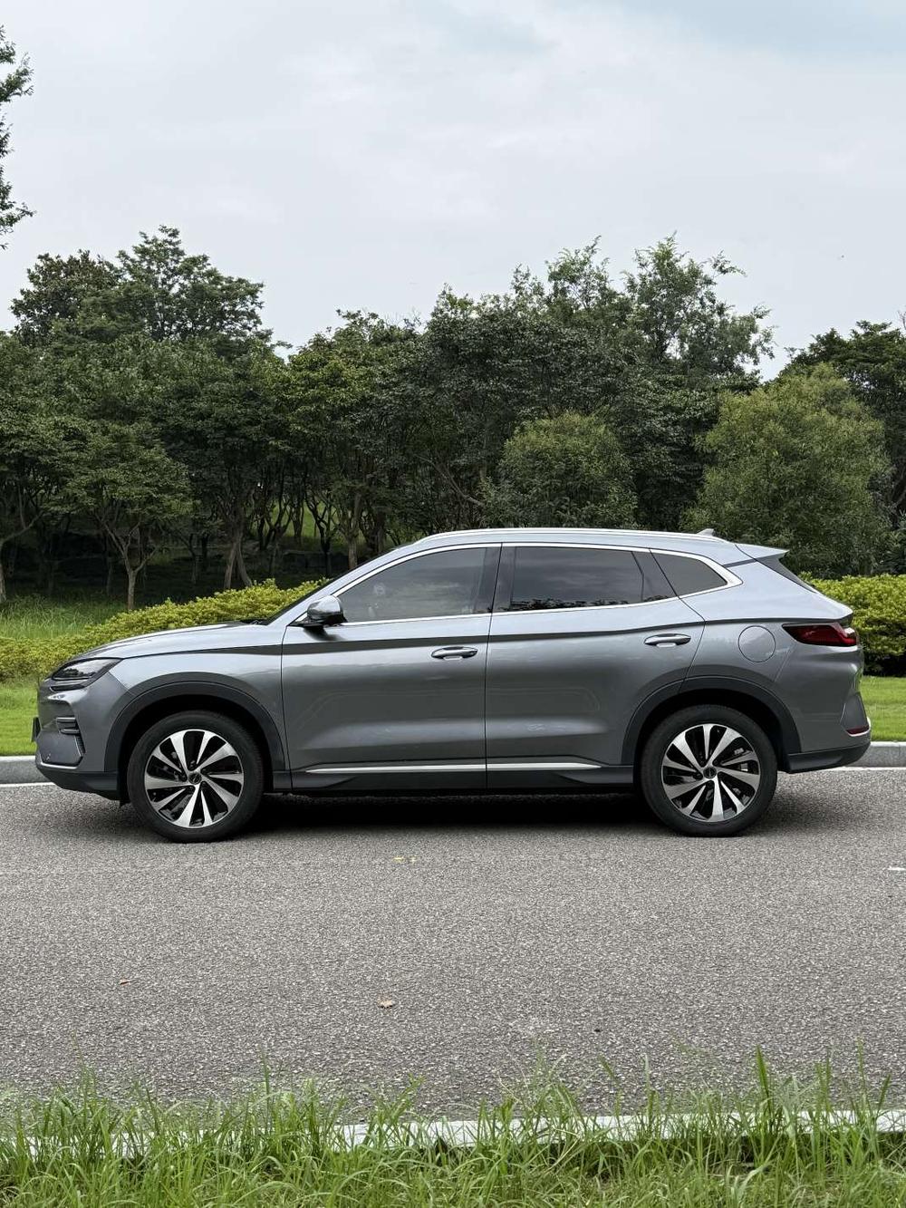 BYD Song Plus New Energy 2024 immagine di auto #4