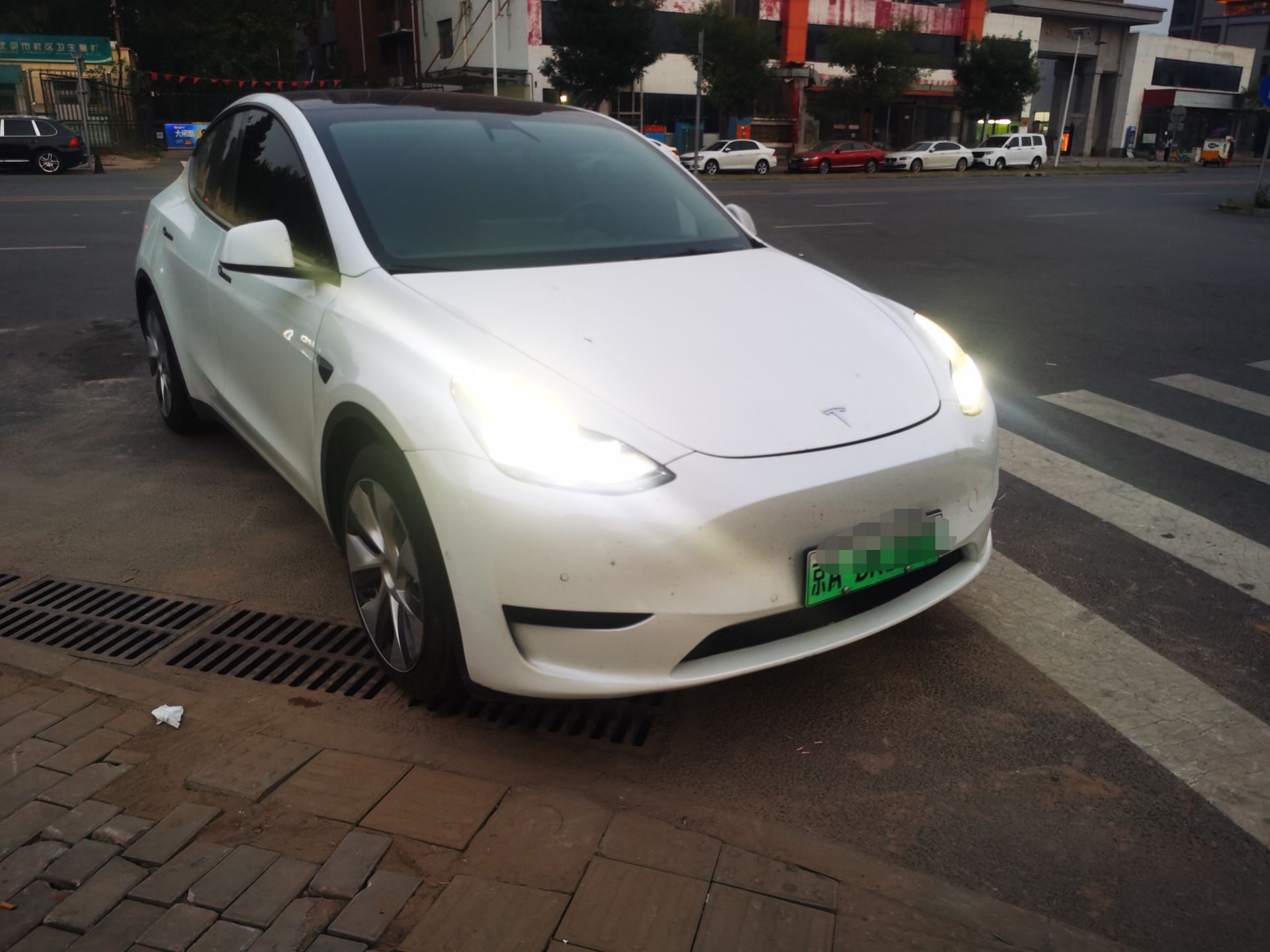 Tesla Model Y 2023 immagine di auto #3