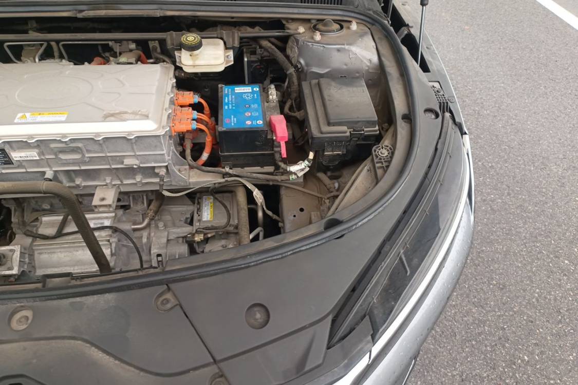 BYD Han 2021 #12 BYD Han 2021 immagine di auto #12