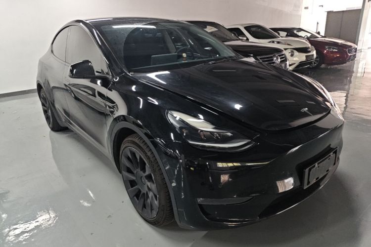 Tesla Model Y 2021 #4 Tesla Model Y 2021 car image #4