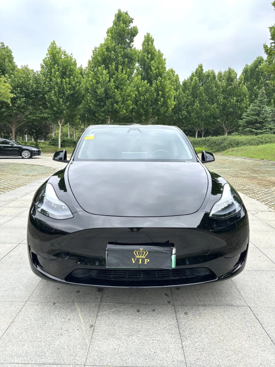 Tesla Model Y 2024 car image #2