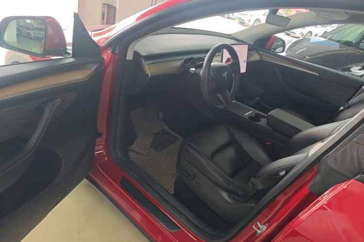 Tesla Model Y 2021 car image #16