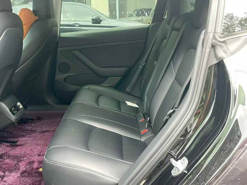Tesla Model 3 2022 car image #6