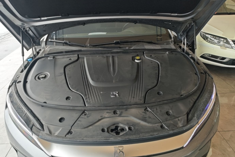 BYD Han 2023 car image #20