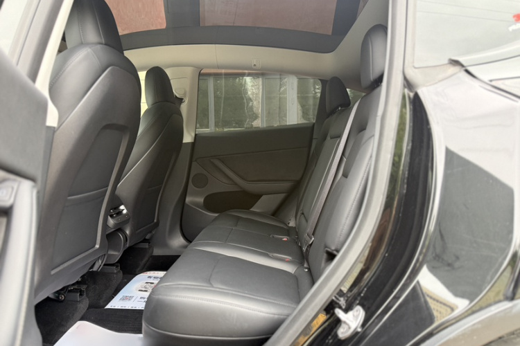 Tesla Model Y 2022 car image #12