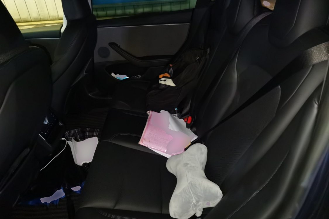 Tesla Model 3 2025 #19 Tesla Model 3 2025 car image #19