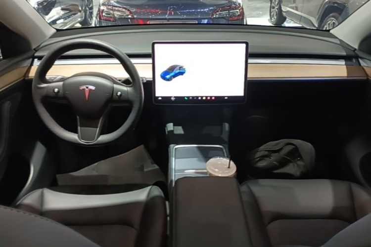 Tesla Model Y 2021 #11 Tesla Model Y 2021 car image #11