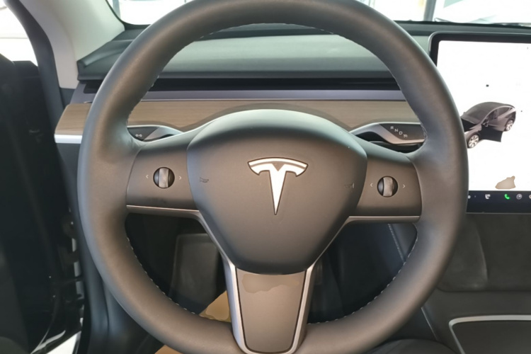 Tesla Model Y 2021 car image #15