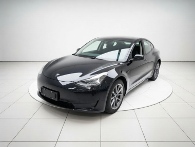 Tesla Model 3 2022 Tesla Model 3 2022 car image